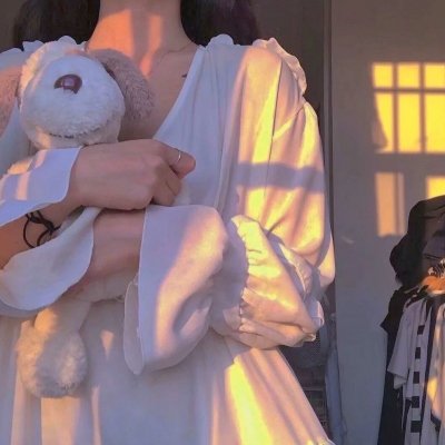 抗日奇侠之武功队